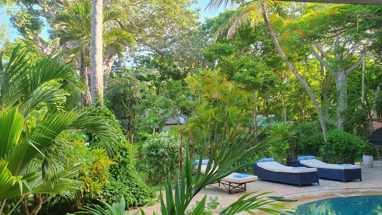 Mami Wata House Bed & Breakfast Kwale Eksteriør bilde