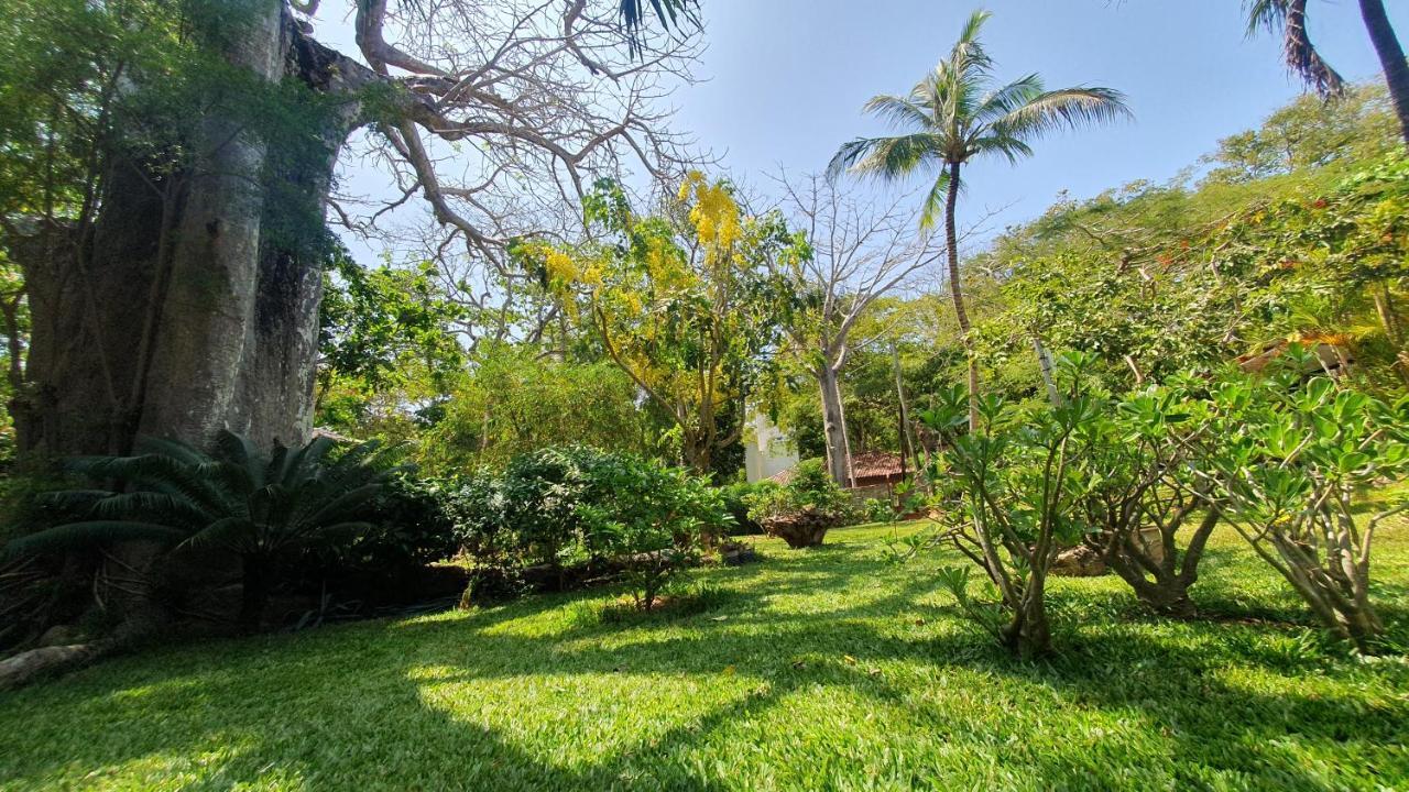 Mami Wata House Bed & Breakfast Kwale Eksteriør bilde
