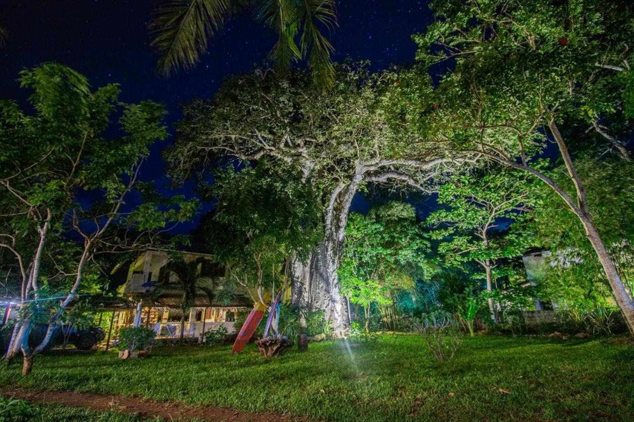 Mami Wata House Bed & Breakfast Kwale Eksteriør bilde